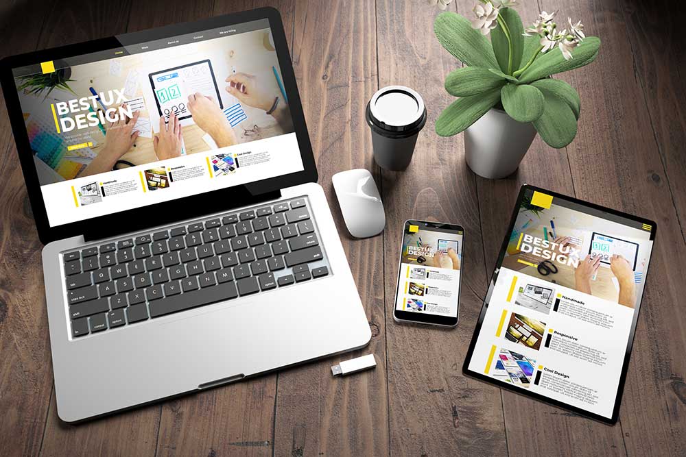 Profesyonel web sitesi kurulumu - Goksu KUKUK